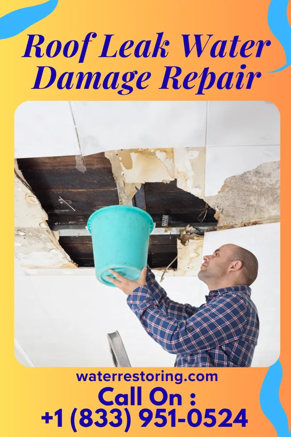 Roof Leak Water Damage Repair in Belvue, KS
